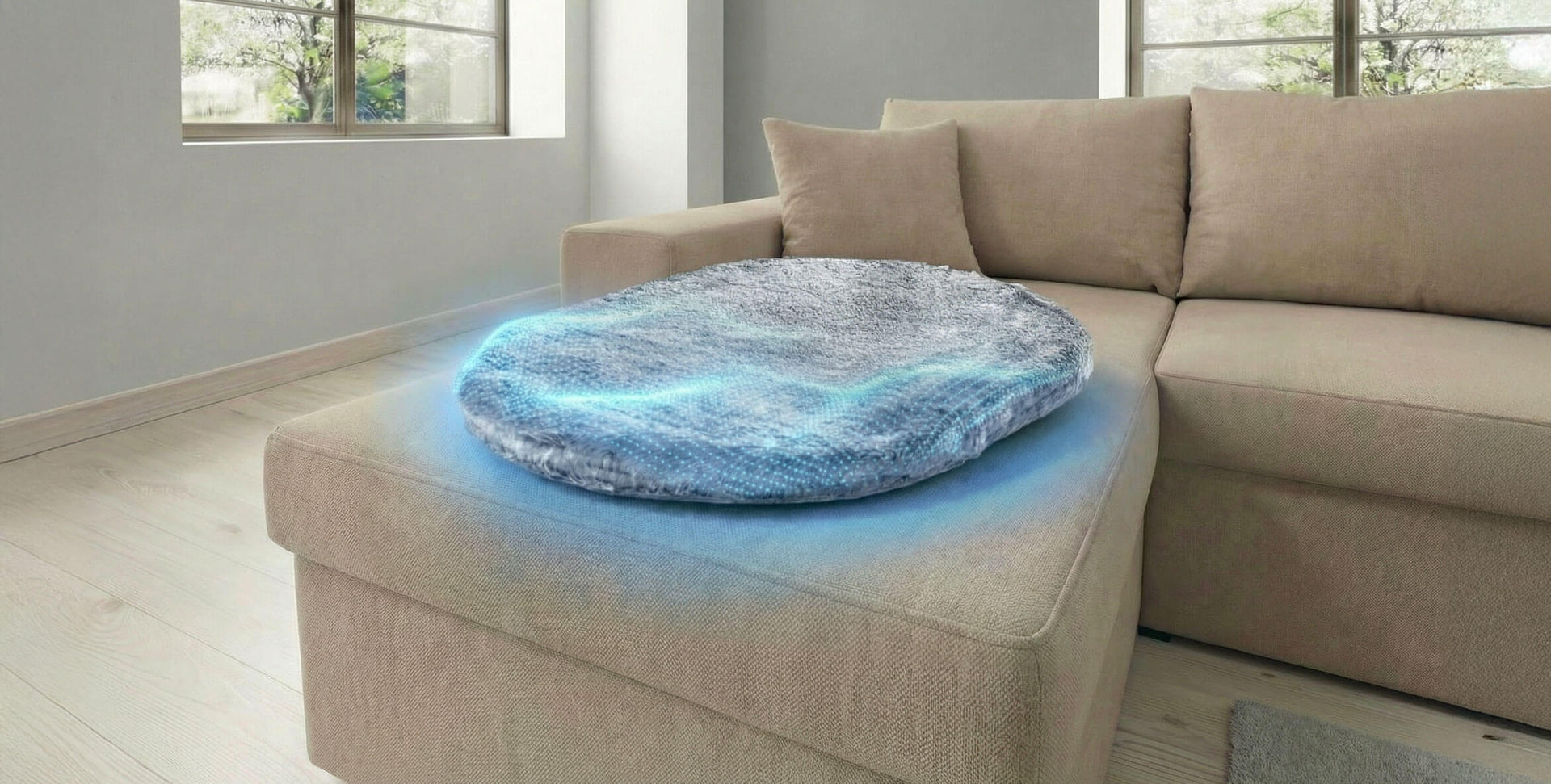 BioRelax Kleinsche Felder Tierkissen auf Couch mit Katze